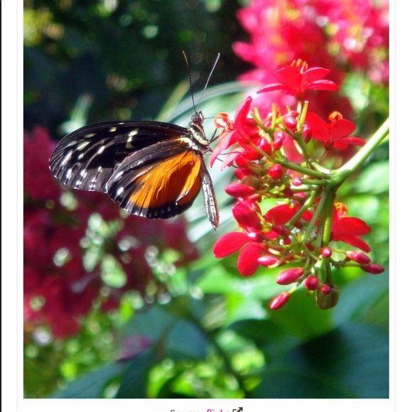 Meet your Posher, Donna - Picture 5 of 8